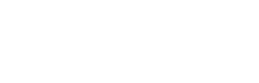 Blackbird feather logo